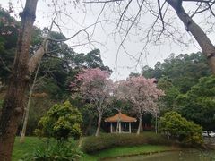 -火炉山森林公园