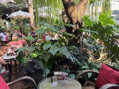 -Fern Forest Cafe
