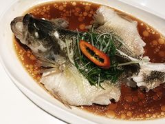 -至潮餐厅精致粤菜·活鲈鱼·走地鸡(珠江新城店)