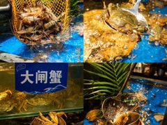 -亚马逊蒸汽活海鲜自助(LCM置汇旭辉广场店)
