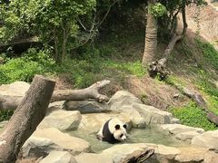 -宁波野生动物园