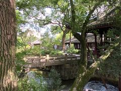 -上海醉白池公园