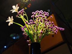 -舌尖上的食缘花园主题餐厅