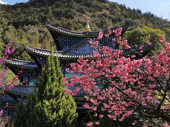 -黑龙潭公园