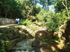 -北京西山国家森林公园