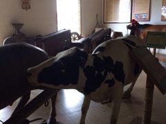 大堂-横沥牛庄(总店)