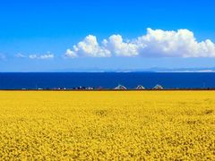 -青海湖国家重点风景名胜区