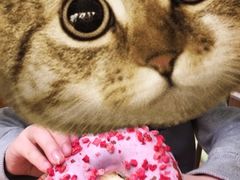 -巴黎贝甜(华堂新辰汇店)