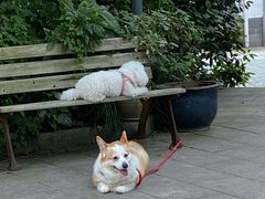 -旅马餐厅(茅家埠店)