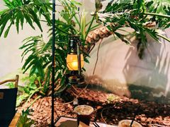 -J Create城市露营咖啡·简餐·宠物(上海动物园店)