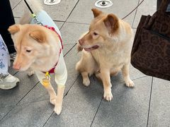 -音乐派KTV(银泰城店)