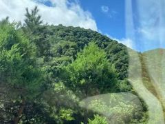-洛阳白云山景区