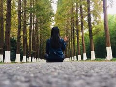 -黄海国家森林公园