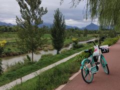 -洨河生态公园