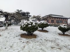 -洛阳古墓博物馆