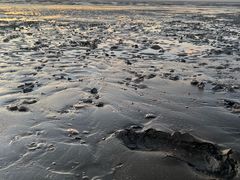 -碧海金沙