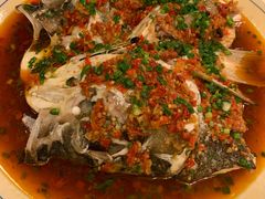 剁椒鱼头-乐口福家常菜馆(古庸路店)