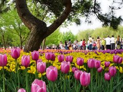 -长春公园(普阳街道)