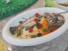 -陶缘一号·四季缘·老字号顺德菜·户外婚礼家宴(西滘店)