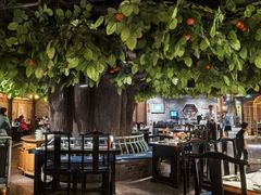 -四世同堂·京菜·烤鸭(双井店)