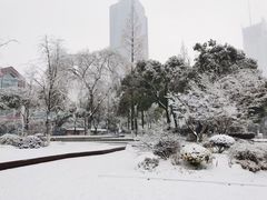 -西北湖绿化广场