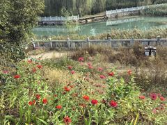 -唐山尚禾源旅游景区
