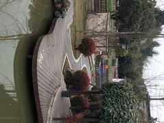 -洪湖家庭农场·团建·露营·会议