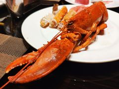-大中华希尔顿酒店-念自助餐·嗨啤·小龙虾