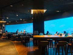 大堂-海棠湾洲际-涛·海底餐厅·美人鱼·自助餐·海底隧道