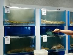 -赶海部落海鲜城(海阳路店)