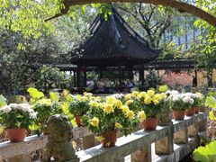 -上海醉白池公园