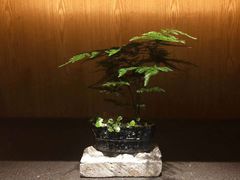 -竹里馆 ·茶食(奥体店)