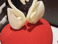 -BLACKSWAN黑天鹅(环球店)