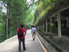 -黔灵山公园-南门售票处