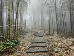 -江南天池