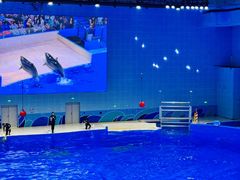 -石家庄市动物园