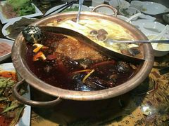 -同火锅