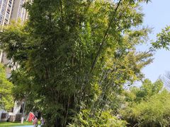 -堤角公园