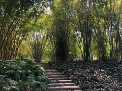 -晓港公园