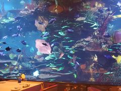 -迪拜帆船酒店海底餐厅