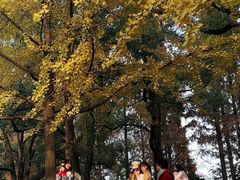 -食膳公园包子铺(烈士公园店)