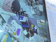 -唐小姐の私宠·宠物洗护美容·撸猫馆·购宠(周浦万达旗舰店)