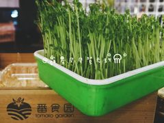-番食园鲜食火锅(高新店)