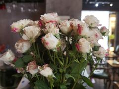 -HOME餐厅粤菜 融合菜