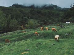 -硗碛藏寨·神木垒景区