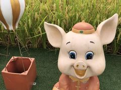 -迪茵湖田家舍生态农场