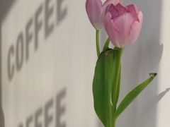 -五进制 Coffee Shop