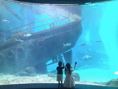 -福州罗源湾海洋世界旅游区