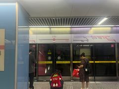 -大龙山(地铁站)