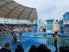 -华夏文旅海洋公园